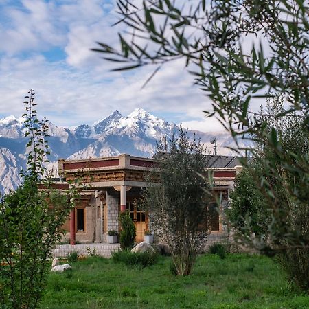 Lchang Nang Retreat-The House Of Trees-Nubra Valley Hotel Sumur Luaran gambar