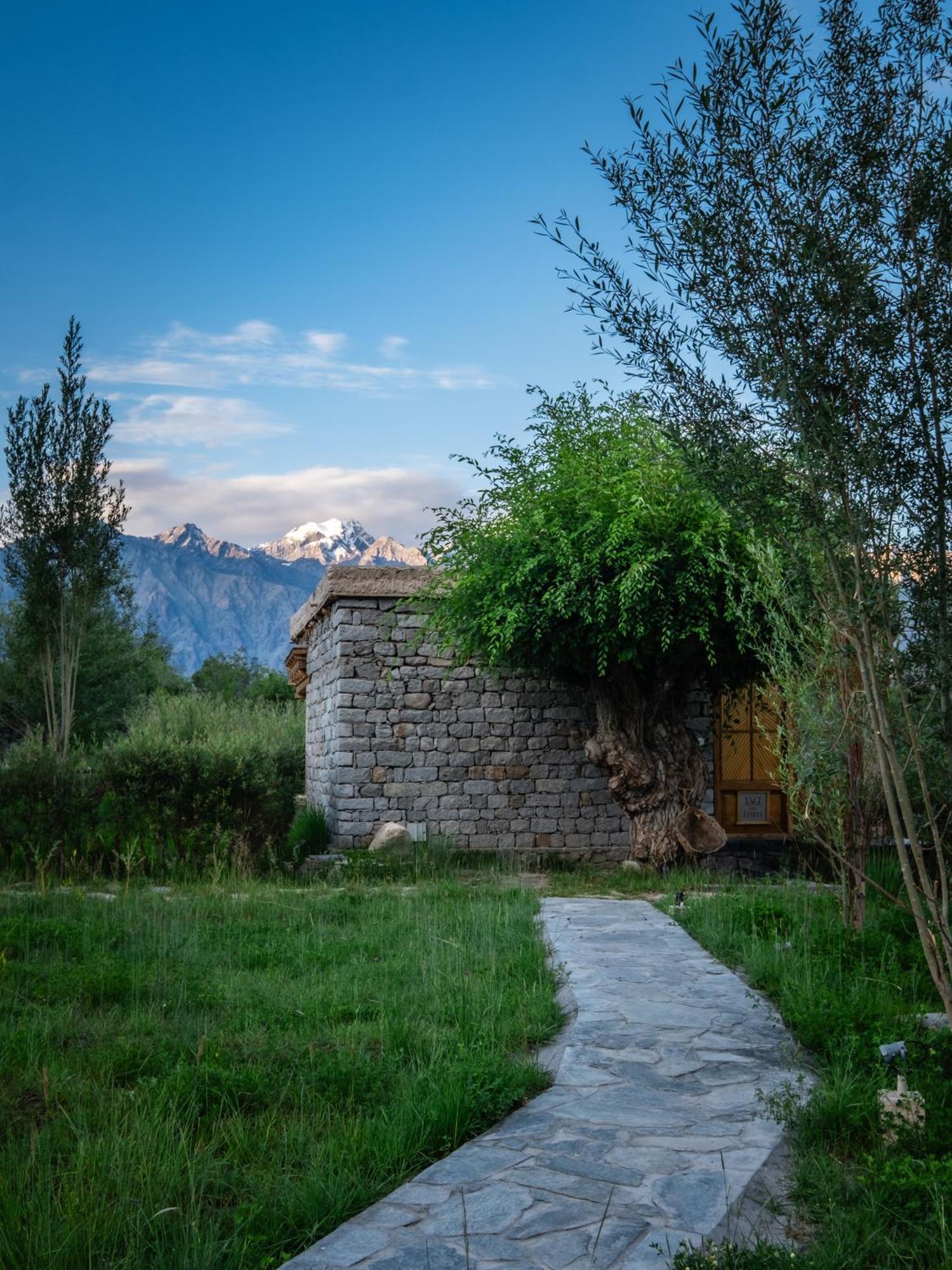 Lchang Nang Retreat-The House Of Trees-Nubra Valley Hotel Sumur Luaran gambar